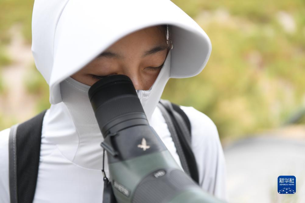 打鱼网游戏